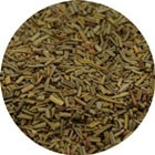 rosemary.jpg